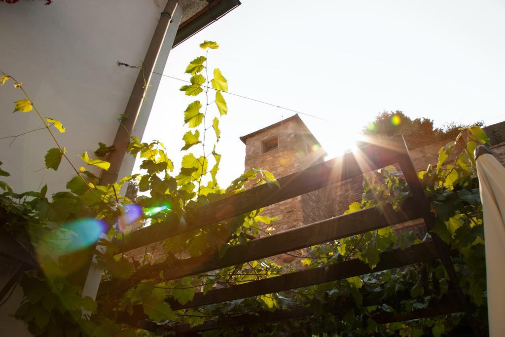 Gasthof zum Goldenen Anker Hainburg an der Donau Exterior foto